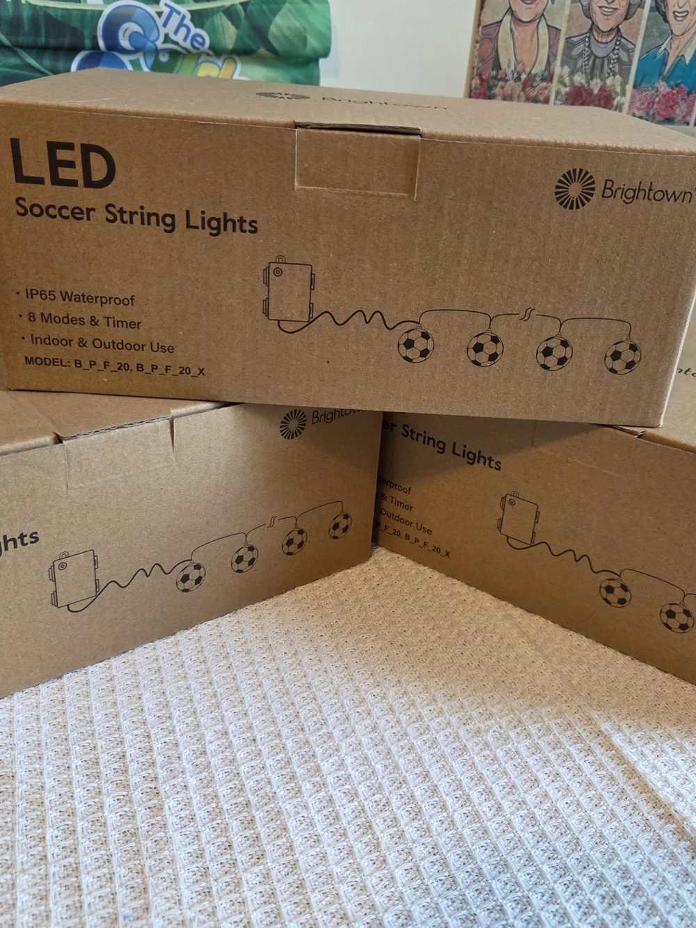 Brightown Soccer Ball LED String Lights - White & Black